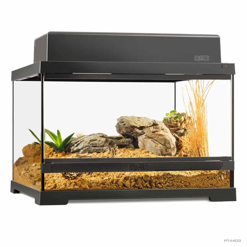 Terrarium Exoterra S Low – 45 x 45 x 30 cm