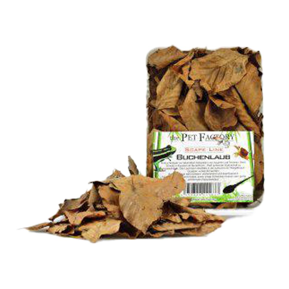 Boklöv Terrarium - 1 L | Endast 89 kr! - Zoogiganten