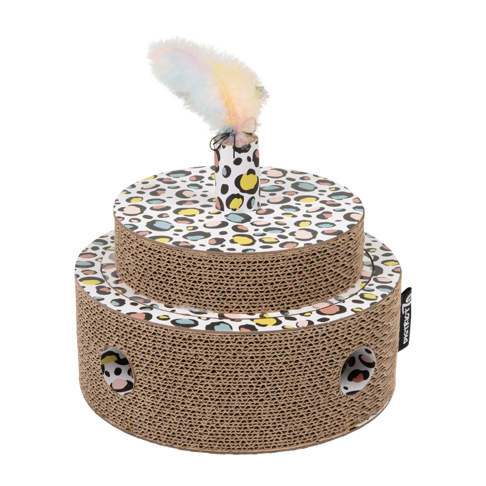 District 70 Fiesta – Sprinkle