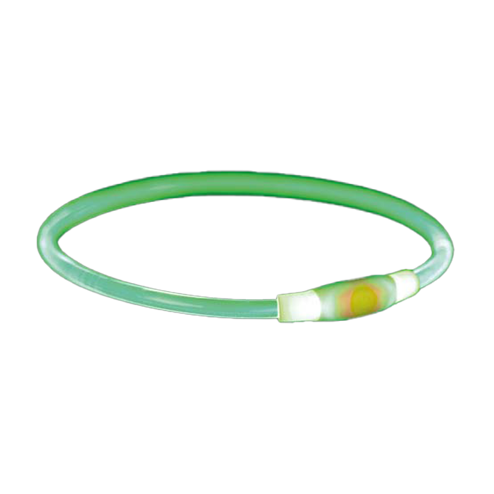 Flashring USB Grün