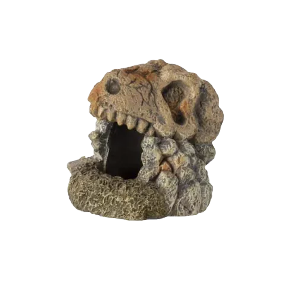 Ozami Fossil Akvariedekoration - 13X12X13 CM
