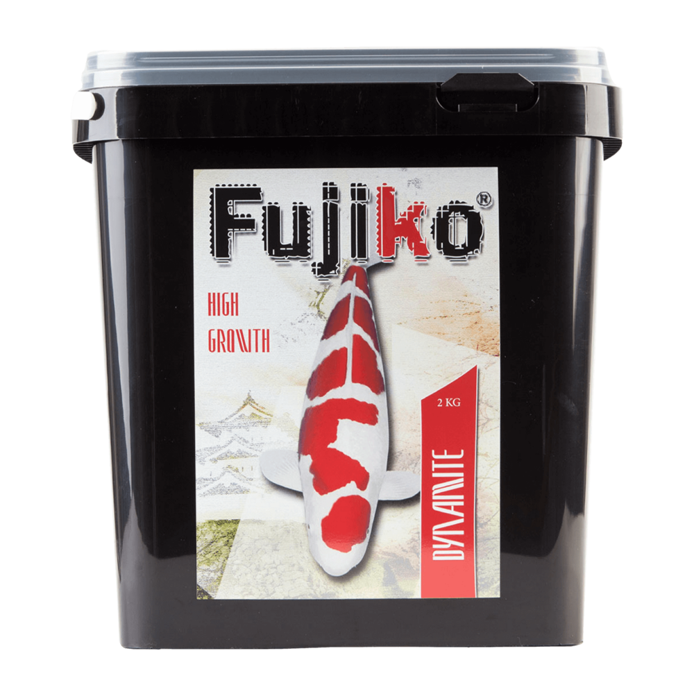 Fujiko Dynamite Dammfoder | Endast 399 kr! - Zoogiganten