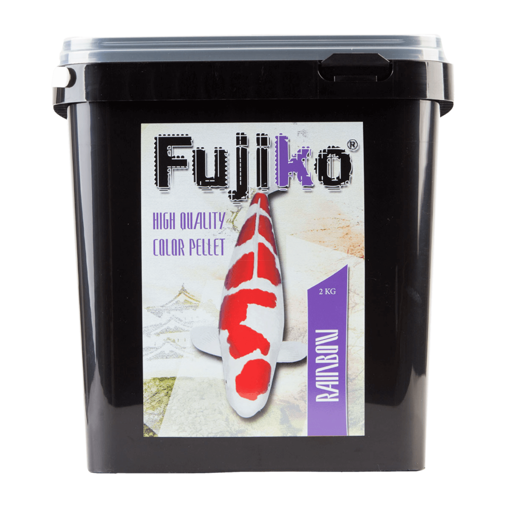 Fujiko Rainbow Dammfoder | Endast 399 kr! - Zoogiganten