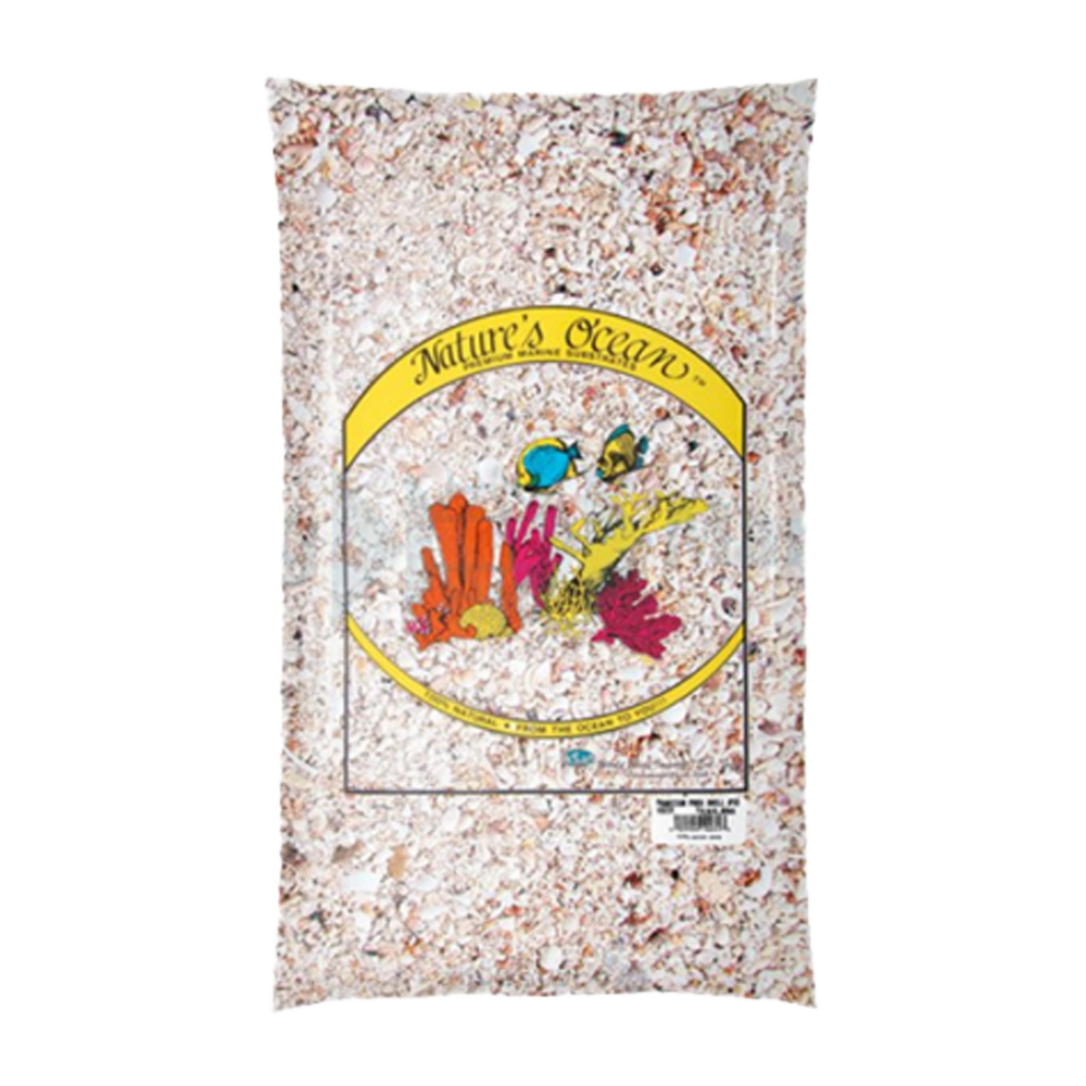 Hawaiian Puka Shells - 6.8 KG | Endast 649 kr! - Zoogiganten