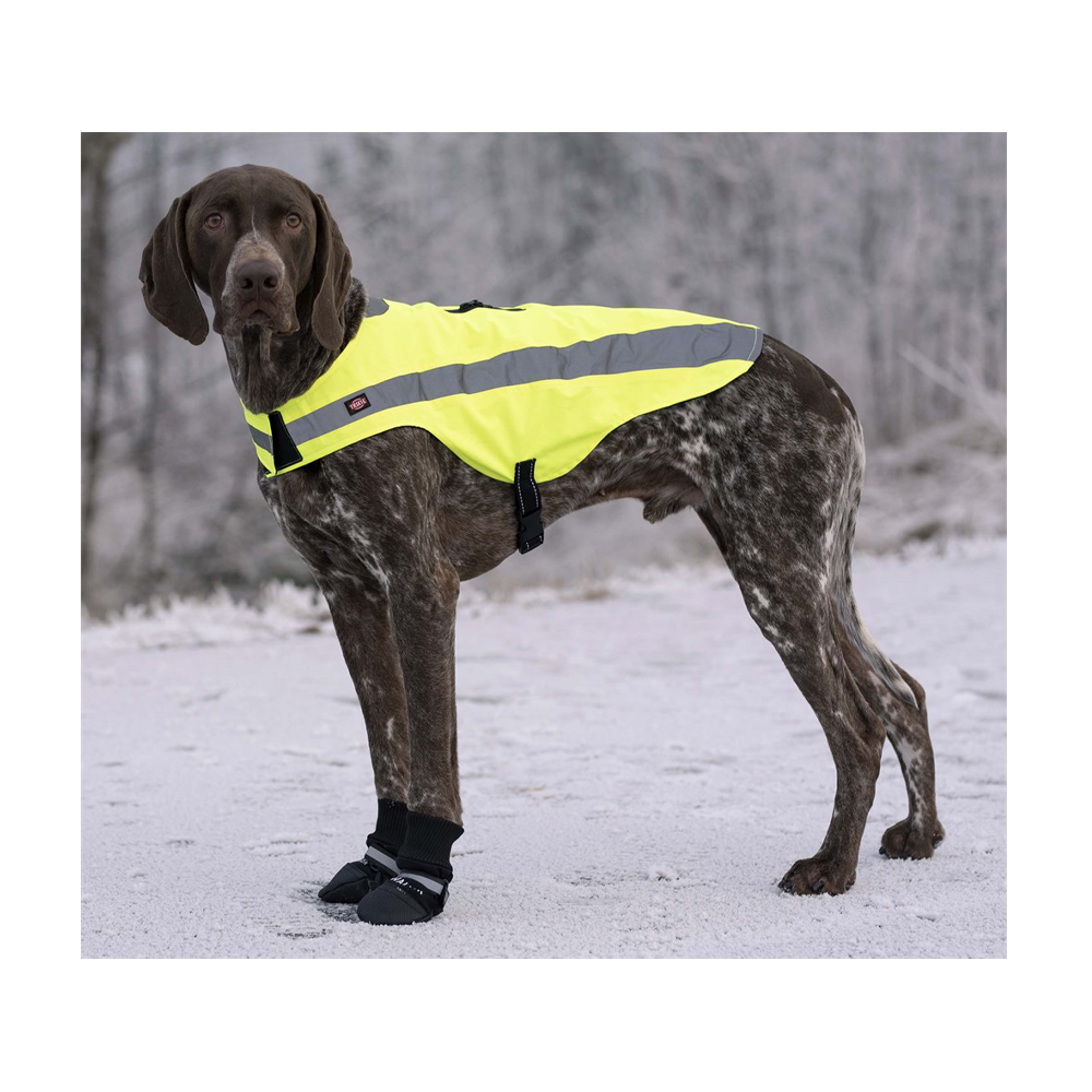 Hundeschuhe Walker Comfort 2er-Pack Schwarz