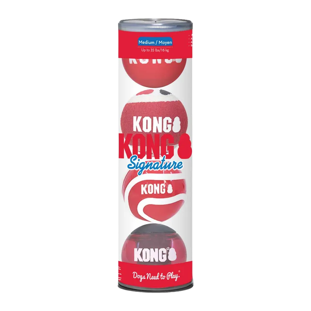 Kong Signature Balls 4er-Pack Medium Mix Ö – 7 cm