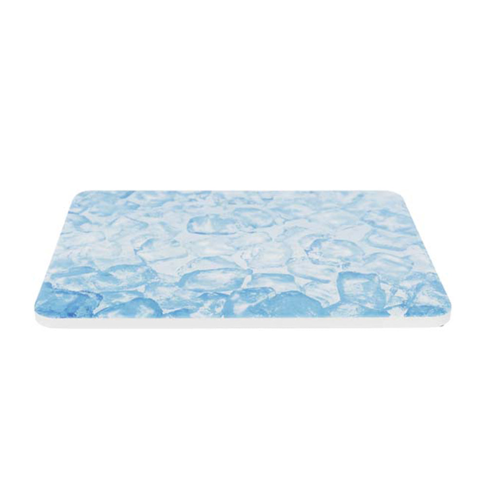 Kylplatta keramik - Hamster | Endast 99 kr! - Zoogiganten