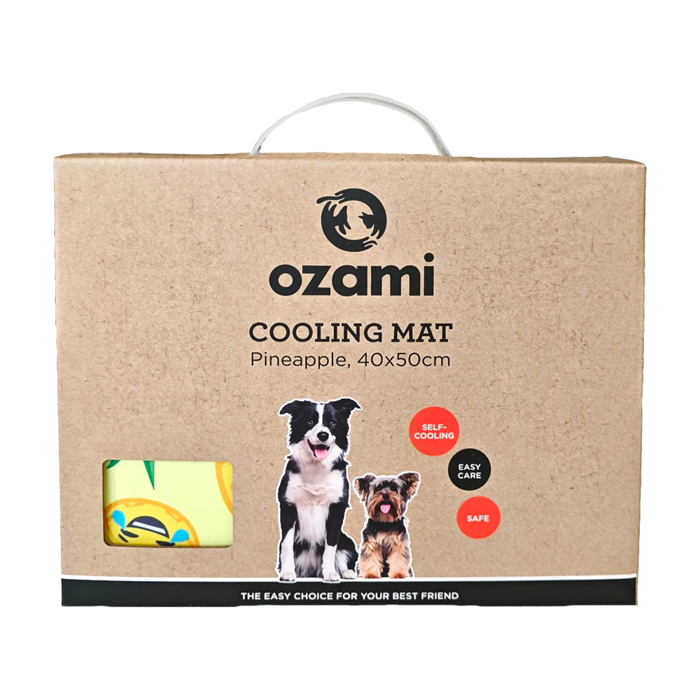 Ozami Kylplatta Pineapple - 40X50 CM | Endast 129 kr! - Zoogiganten