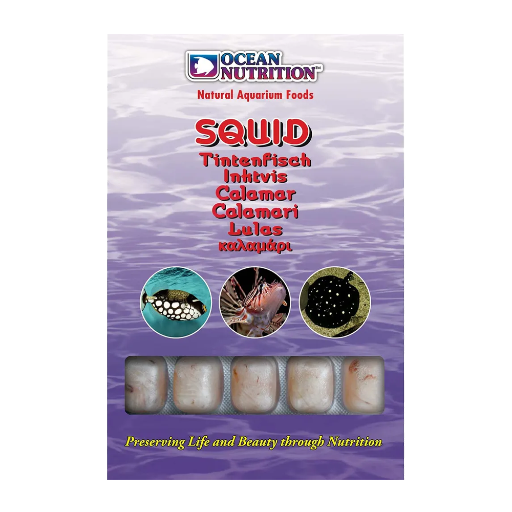 Ocean Nutrition Squid - 100 G | Endast 49 kr! - Zoogiganten