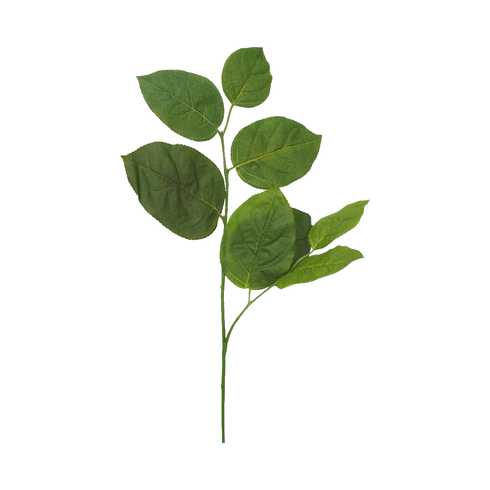 Salalkvistar für Wanderstock – 1 Stück