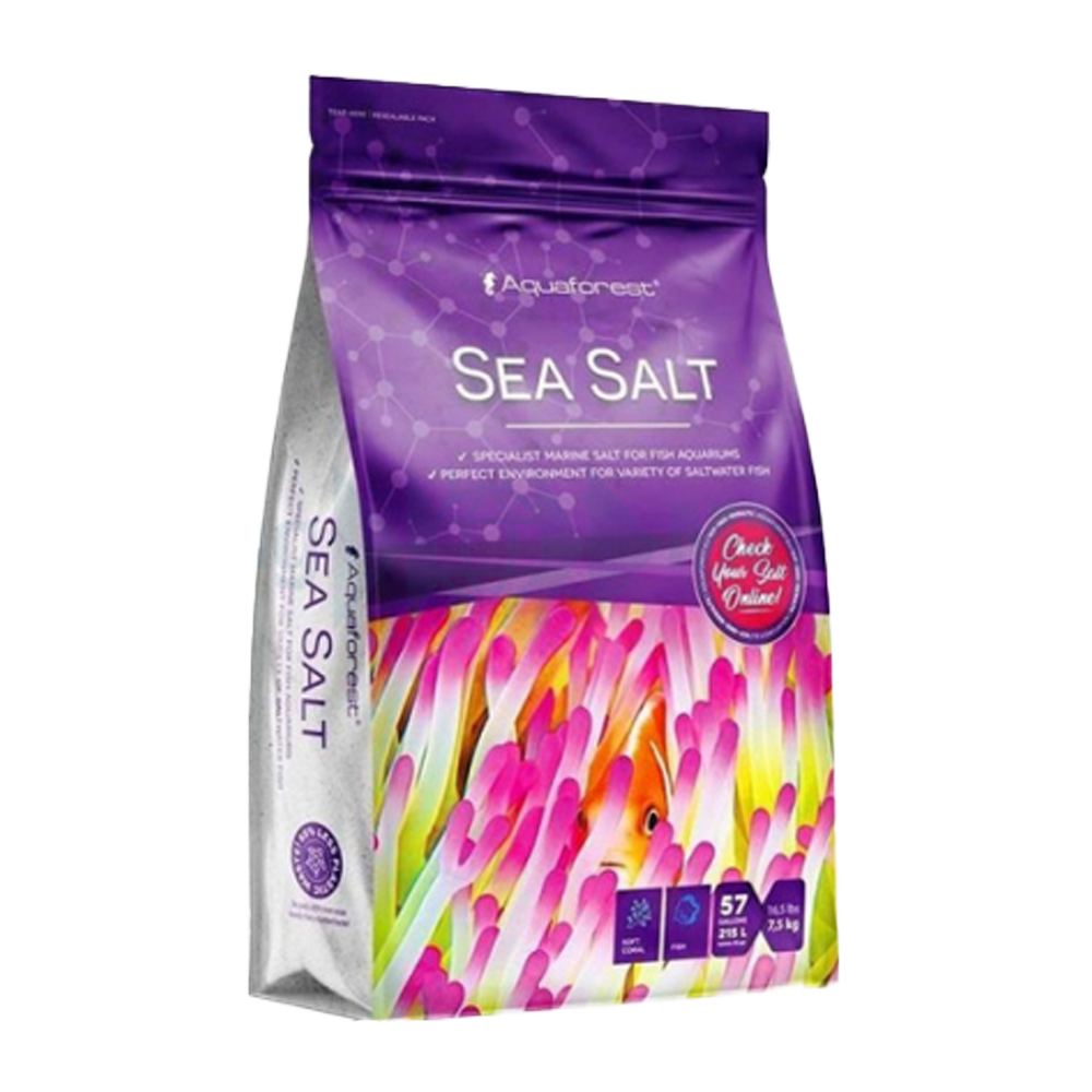 Sea Salt - 22 KG