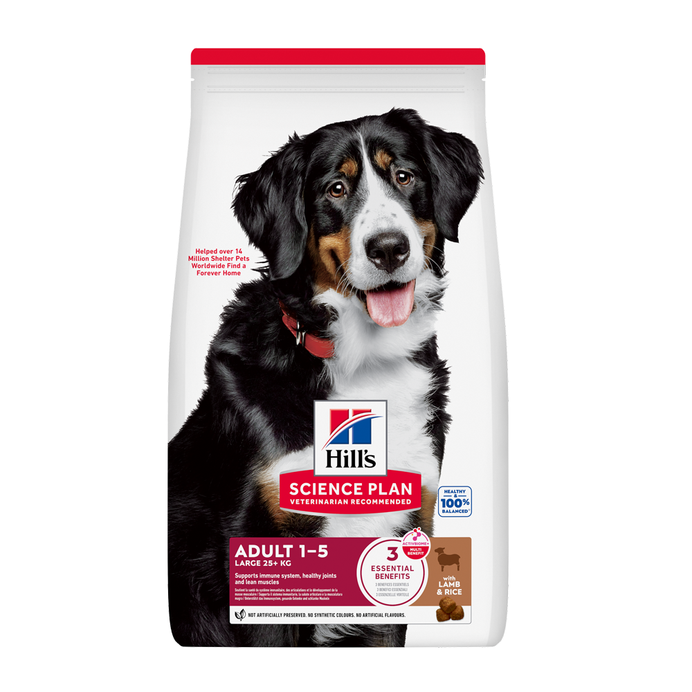 Science Plan Canine Adult Large Breed Lamb&rice - 12 KG