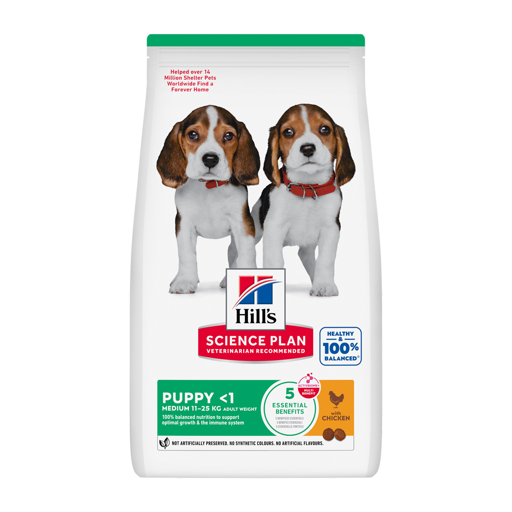Science Plan Puppy Medium Huhn – 2,5 kg