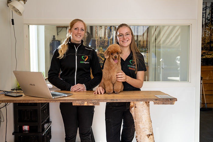 Salong - Korthåriga hundraser