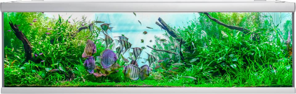 Akvastabil Fusion Akvarium - 900 L