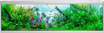 Akvastabil Fusion Akvarium - 900 L