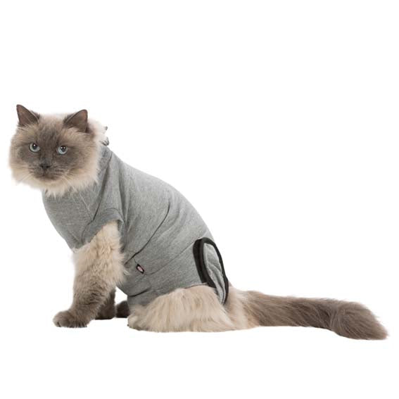 Schutzanzug für Katze S M Grau