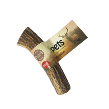 2pets Tugghorn Hjort – M