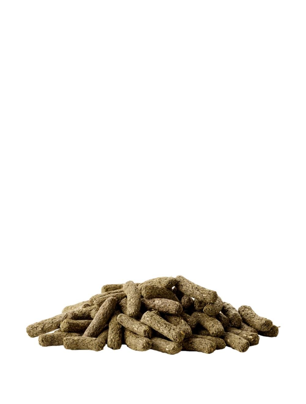 Chinchilla & Degu Complete - 500 G | Endast 99 kr! - Zoogiganten