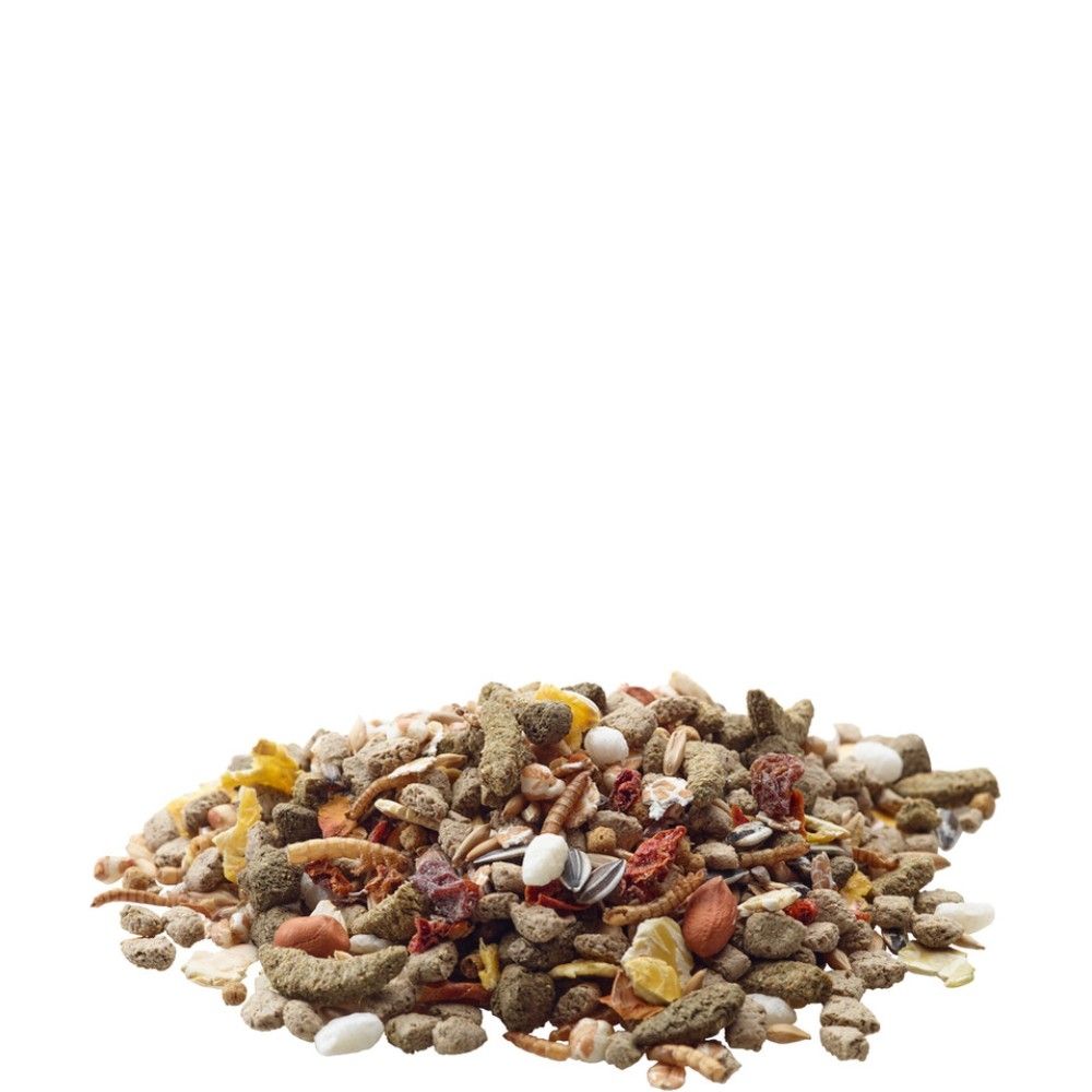 Nature Råtta - 700 G | Endast 129 kr! - Zoogiganten