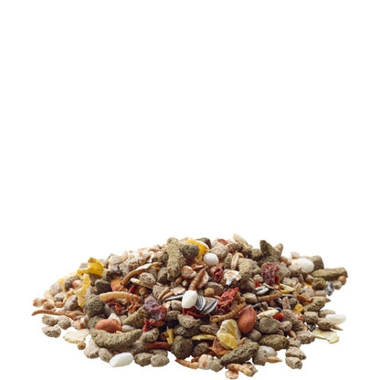 Nature Råtta - 700 G | Endast 129 kr! - Zoogiganten