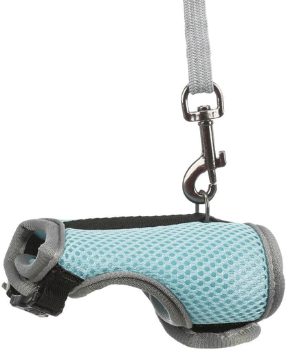 Softsele koppel - Råtta | Endast 119 kr! - Zoogiganten