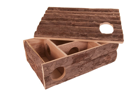 NL Leif - Labyrinthus | Endast 299 kr! - Zoogiganten