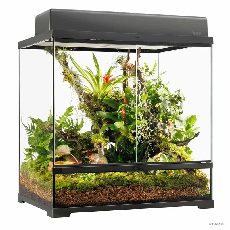 Terrarium Exoterra M Tall – 60 x 45 x 60 cm