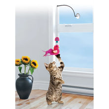 Kong Cat Connects Window Teaser Mix – 30 cm