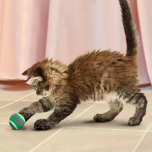 Kong Cat Active Tennisball mit Glöckchen Ö – 4 cm