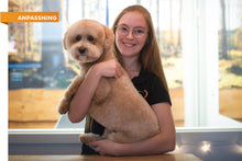 ANPASSNING - TOVIG, NERVÖS, VALP, OVAN - HUND | Endast 159 kr! - Zoogiganten