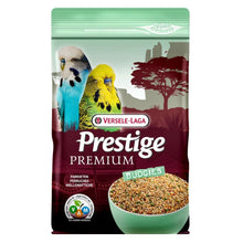 Prestige Premium Budgies Undulat | Endast 109 kr! - Zoogiganten