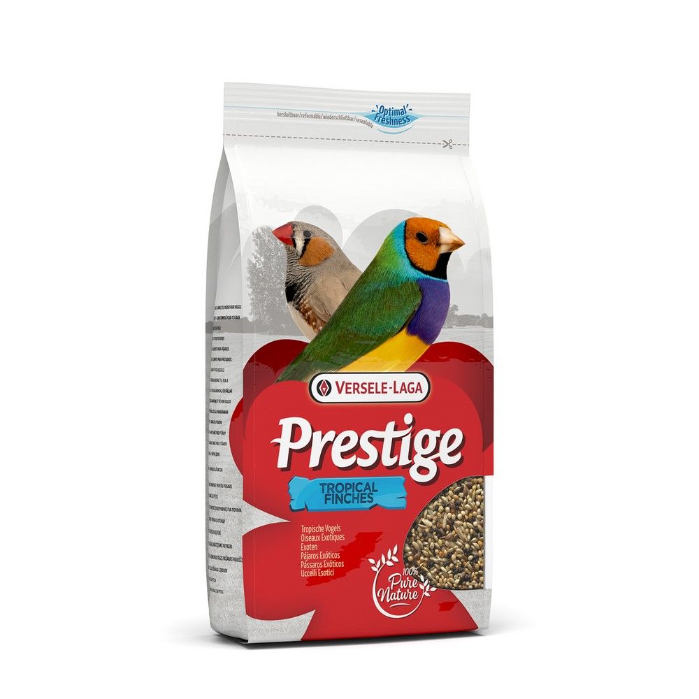 Prestige Tropical Stand Up | Endast 79 kr! - Zoogiganten