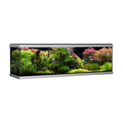 Akvastabil Move Akvarium Svart -720 L
