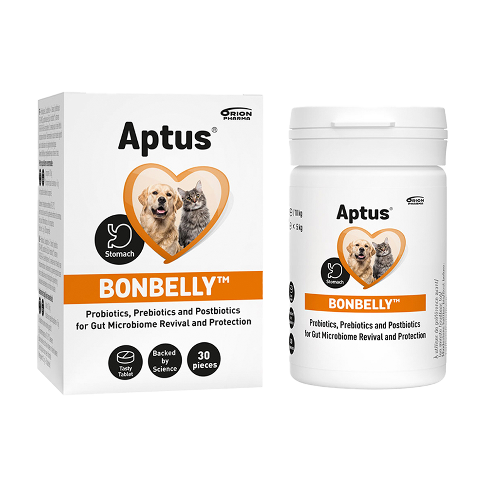 Aptus Bonbelly Pro+Prebiotika – 30 Tabletten