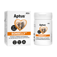 Aptus Bonbelly Pro+Prebiotika – 30 Tabletten