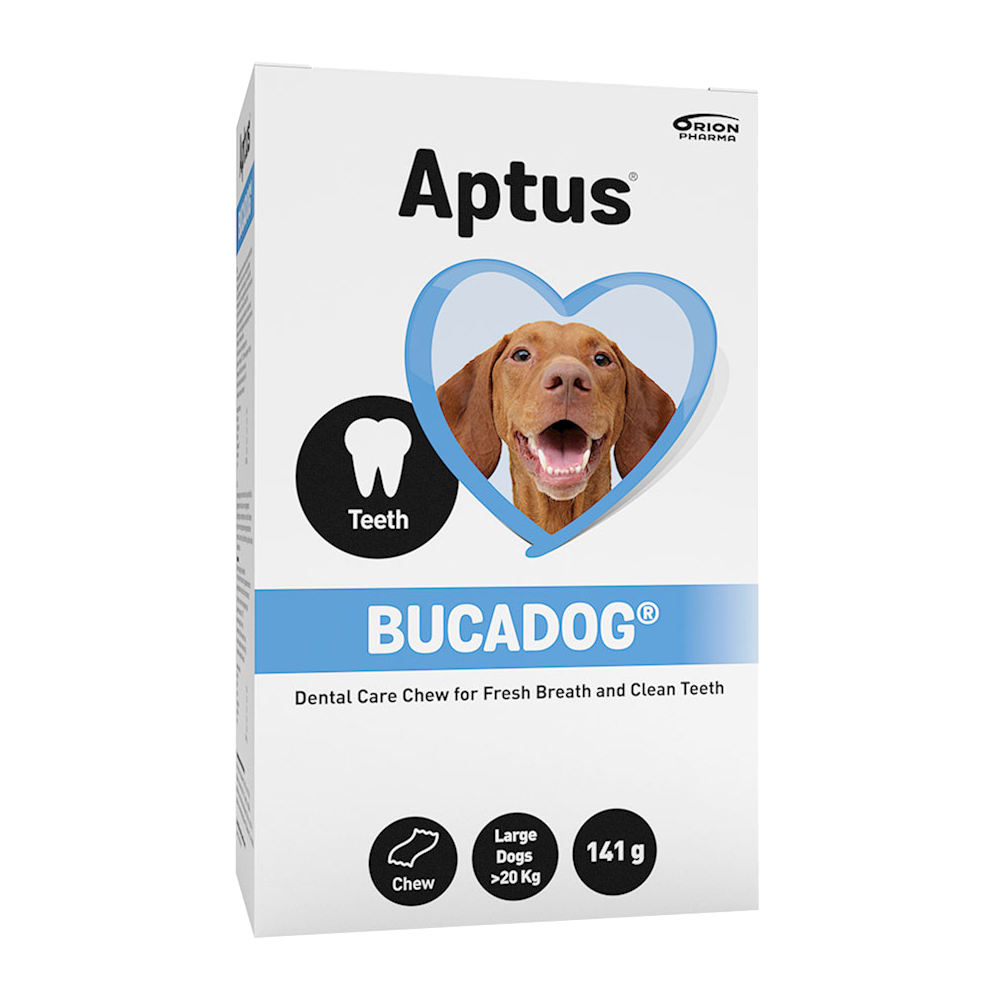 Aptus Bucadog Kauknochen Large