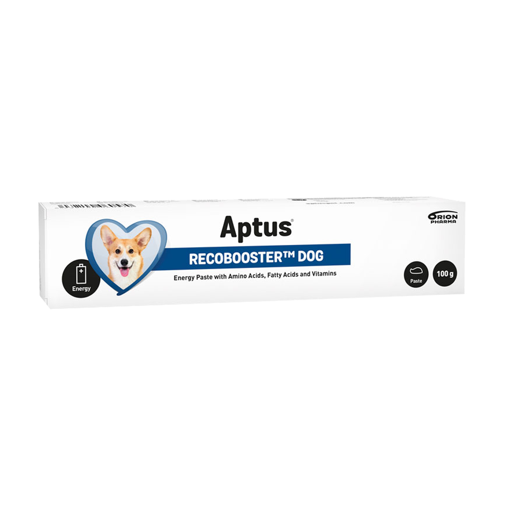 Aptus Recovery Booster Hund – 100 g