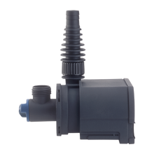 Aquarius Universal Classic 2000 | Endast 1999 kr! - Zoogiganten