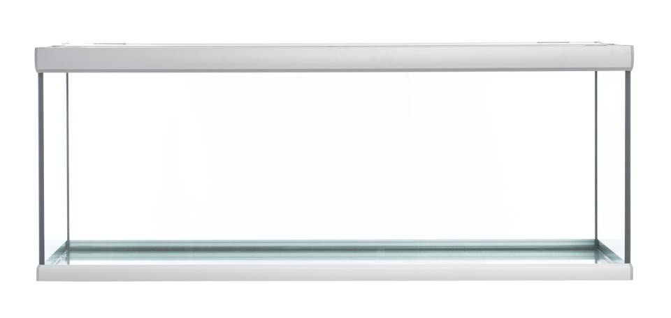 Fusion Aquarium / Silber Weiß – 160 x 60 x 64 cm, 576 l