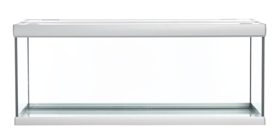 Fusion 325 L Aquarium Silber/Weiß – 130 x 50 x 54 cm