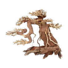 Bonsaiträd Akvarium Large - 30X23X15 CM | Endast 1099 kr! - Zoogiganten