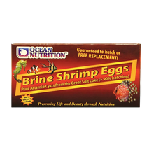 Artemia Brine Shrimp Ägg - 20 G | Endast 189 kr! - Zoogiganten