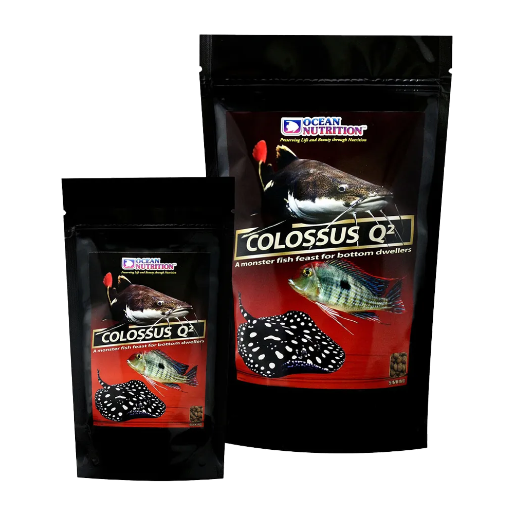 Colossus Q2 Sinking Pellets | Endast 199 kr! - Zoogiganten
