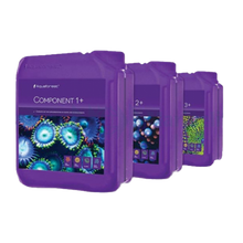 Komponente 1+2+3+ 3X 5L