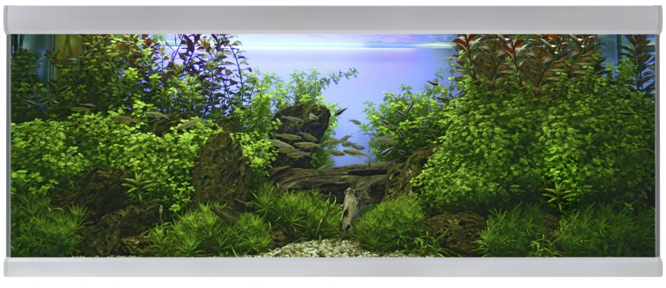 Fusion Aquarium / Silber Weiß – 160 x 60 x 64 cm, 576 l