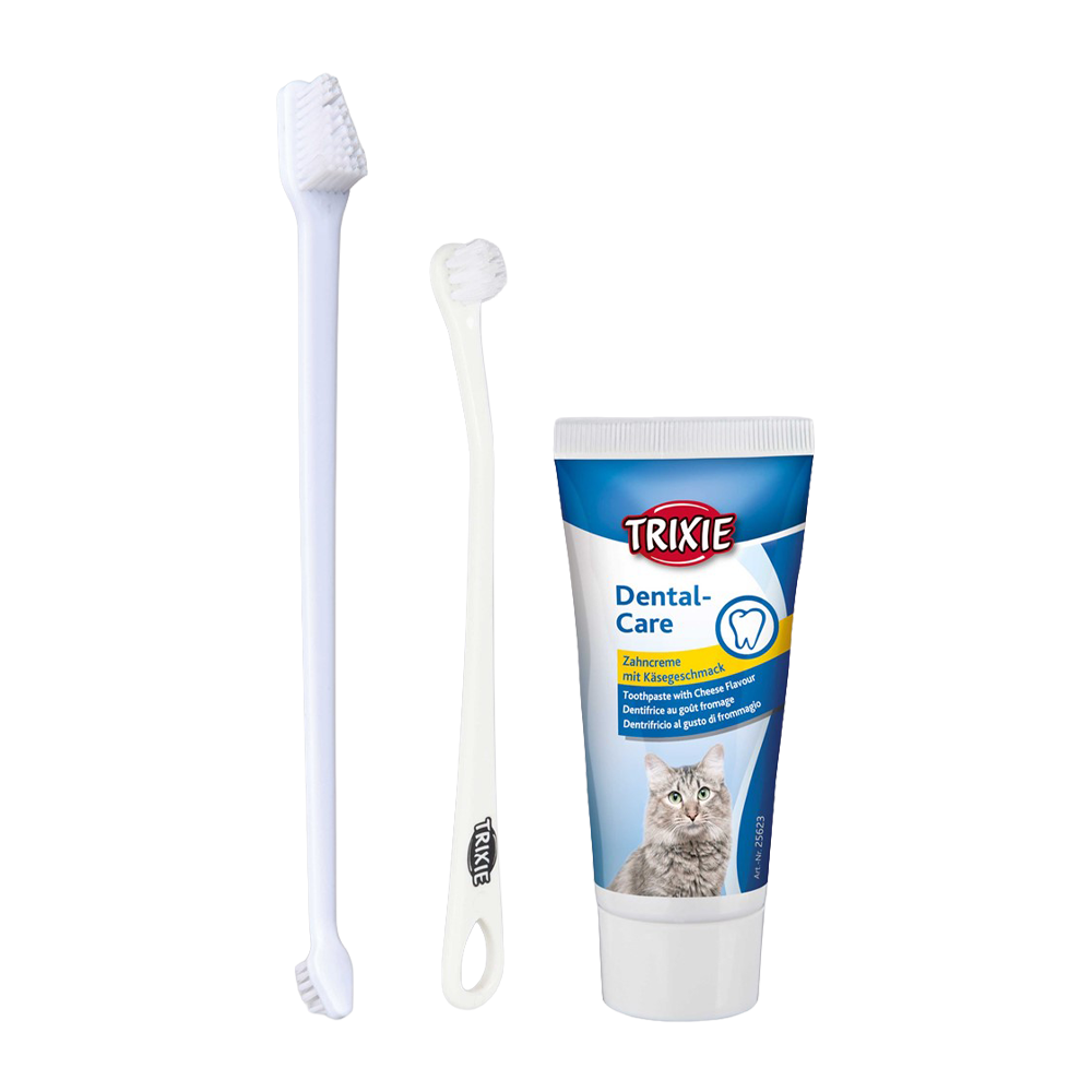 Zahnpflege-Set für Katzen M Zahnpasta 2 Zahnbürsten