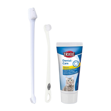 Zahnpflege-Set für Katzen M Zahnpasta 2 Zahnbürsten