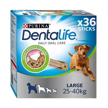 Dentalife Large 4 ST – 142 G