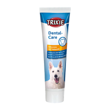 Zahncreme mit Teebaumöl – 100 g